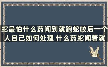 蛇最怕什么药闻到就跑蛇咬后一个人自己如何处理 什么药蛇闻着就走